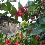 Casa Do Pinto Gospodarstwo wiejskie Arouca