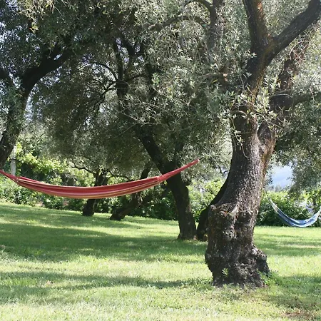 Casa Do Pinto 乡村民宿