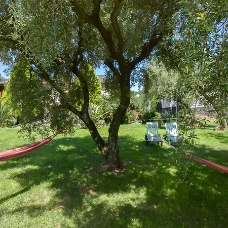 乡村民宿 Casa Do Pinto 阿鲁卡