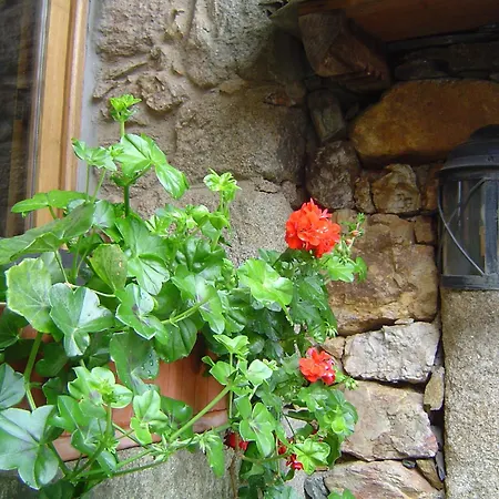 בית כפרי Casa Do Pinto ארוקה