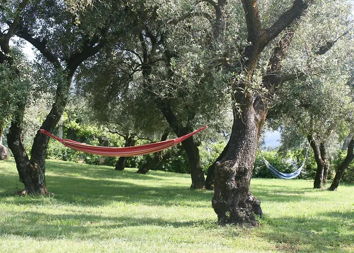 Casa Do Pinto Gospodarstwo wiejskie