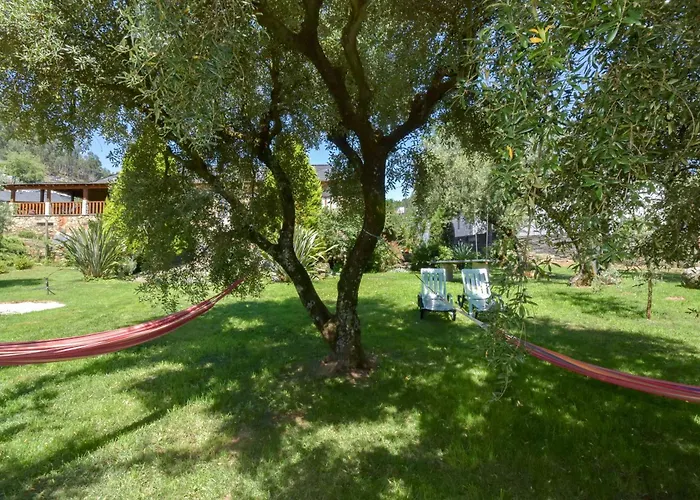 Gospodarstwo wiejskie Casa Do Pinto Arouca