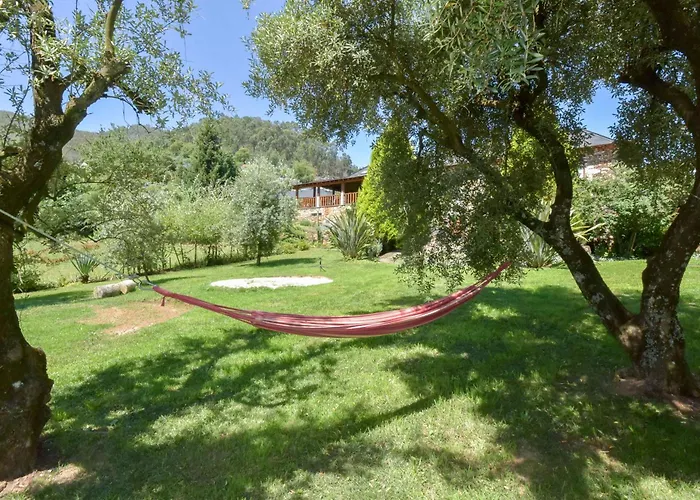 Gospodarstwo wiejskie Casa Do Pinto Arouca